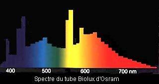 Spectre du tube Biolux d'Osram